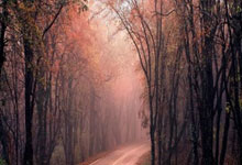 湘潭配资炒股:股票手机怎么买-五大白酒企业上半年净赚850亿元：茅台454亿领跑 洋河净利下滑